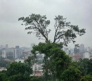 ciclone extratropical em São Paulo