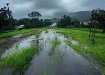 acumulados de chuvas