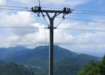 Linha 7 Rubi