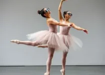 Ballet de Cegos