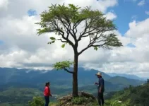 Consciência Ambiental