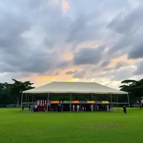 Domingo no Parque